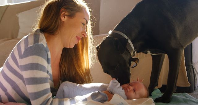 Woman lying on the floor with her baby, while a pet dog sniffs the baby with curiosity. Use for concepts of family bonding, caregiving, and the special relationship between pets and children.