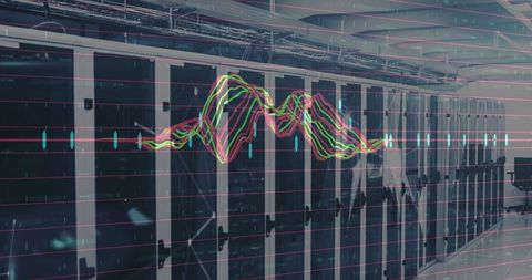Data Center Servers with Digital Graph Overlay
