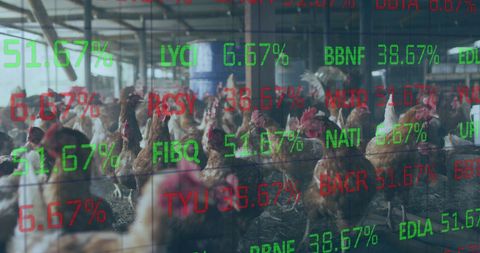 Chicken Farm Overlaid with Financial Data and Stock Prices