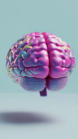 Rotating 3D Brain Model Entering Frame in Studio Showing Colorful Gyri and Sulci