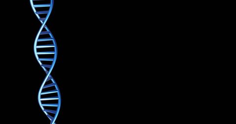 Rotating Blue DNA Strand with Black Background and Space for Copy