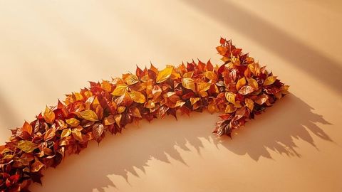 Curved arrow shaped with autumn leaves on beige surface