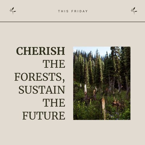 Cherishing Forests for Sustainable Future Environmental Awareness - Download Free Stock Templates Pikwizard.com