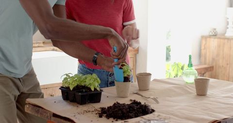 Diverse friends potting seedlings in bright kitchen setting