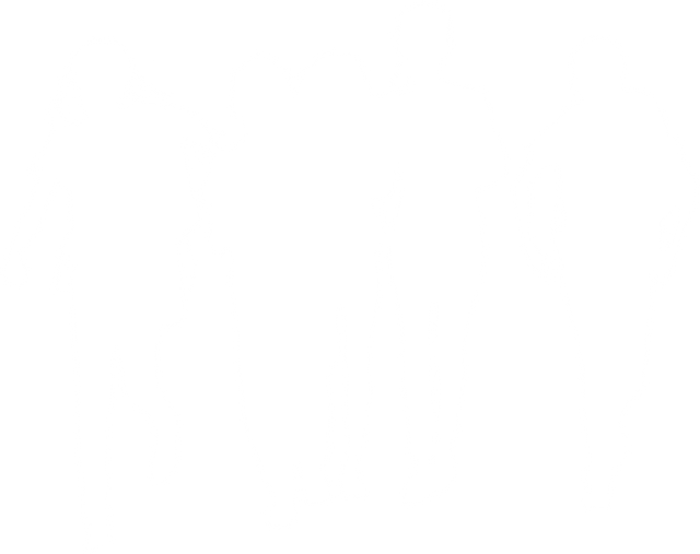 Transparent Silhouette of Schoolchildren Walking to School - Download Free Stock Videos Pikwizard.com