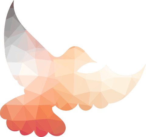 geometric transparent dove symbolizing freedom and peace - Download Free Stock Videos Pikwizard.com