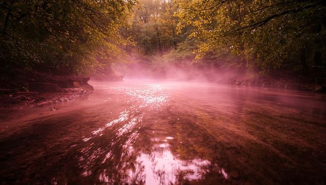 Serene woodland creek with enchanting pink mist at sunrise