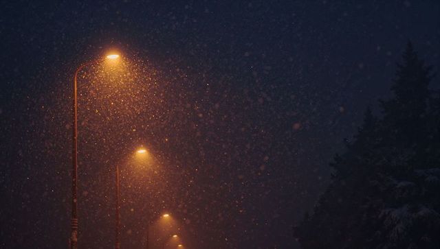 Glowing streetlights backlighting falling snow on quiet suburban night with evergreens