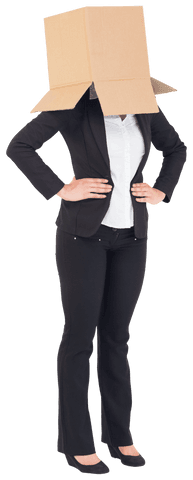 transparent box head businesswoman conceptual portrait - Download Free Stock Videos Pikwizard.com