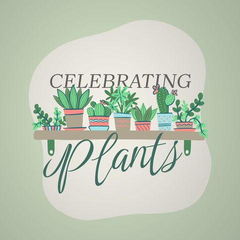 celebrating houseplants with potted cacti in home decor - Download Free Stock Templates Pikwizard.com