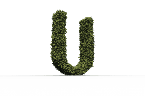 Transparent Letter U Covered in Plants on White Background - Download Free Stock Videos Pikwizard.com