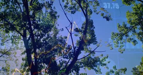 Sustainability Concept with Tree and Data Visualization Overlay