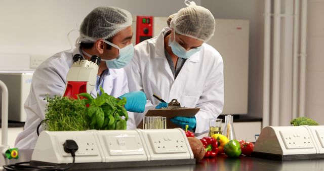 Two scientists, of diverse ethnicities, are conducting research in a laboratory, with copy space. They are examining vegetables, which suggests they might be involved in food science or agricultural studies.