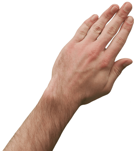 Caucasian male hand on transparent background for gestures