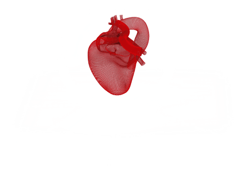 transparent heart imaging with circular scanner technology - Download Free Stock Videos Pikwizard.com