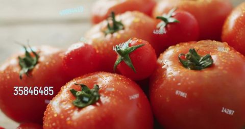 Close-up Dewy Ripe Tomatoes with Green Stems and Digital ID Labels on Wooden Surface