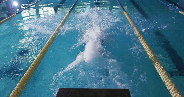 Swimmer in action at a competitive pool - Download Free Stock Photos Pikwizard.com