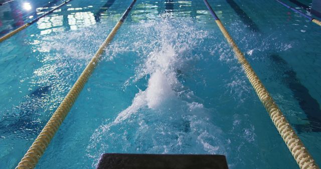 Diver Making Splash in Indoor Swimming Pool During Dive - Download Free Stock Images Pikwizard.com