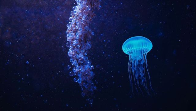 Glowing jellyfish floating in ethereal deep-sea environment