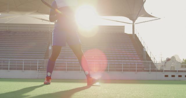 Action-Packed Female Field Hockey at Sunset - Download Free Stock Images Pikwizard.com