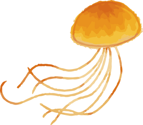 Vibrant gradient jellyfish on transparent background