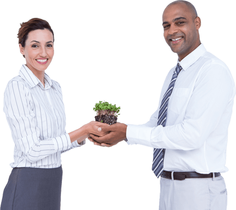 Transparent Business Colleagues Holding Potted Plant Together