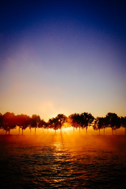 Beautiful Sunrise Reflected on Calm Waterfront with Tree Silhouettes - Download Free Stock Photos Pikwizard.com