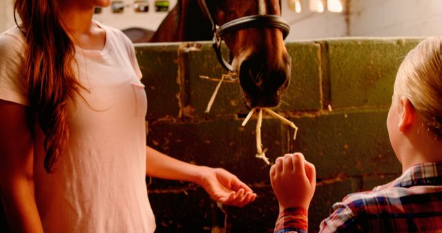 Children Feeding Horse in Stable - Download Free Stock Images Pikwizard.com