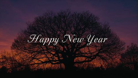 Dramatic Oak Silhouette at Twilight with Elegant Happy New Year Calligraphy Overlay