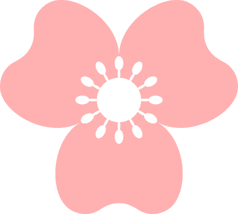 flat red flower icon with three petals on transparent background - Download Free Stock Videos Pikwizard.com