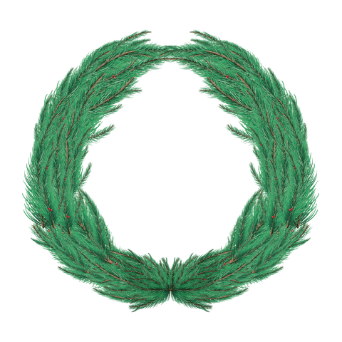 Transparent Christmas Fir Wreath Decoration Vector
