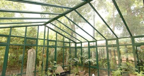 Sunlit greenhouse glowing with green metal frame and tropical potted plants