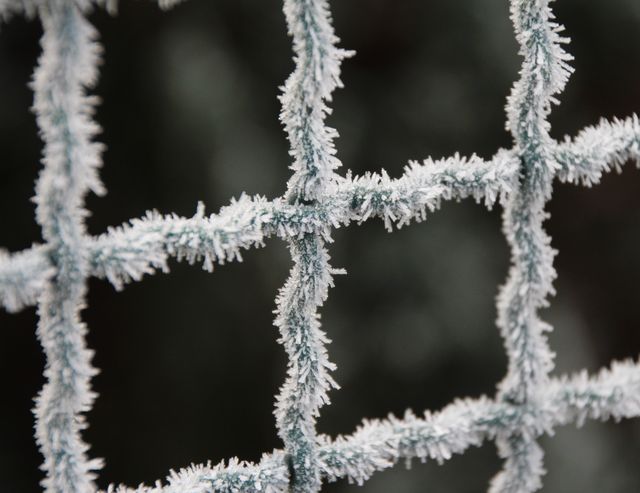 Close-Up of Frost-Covered Fence in Winter - Download Free Stock Photos Pikwizard.com