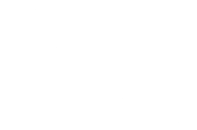 Transparent Silhouette of Two Fencers Engaged in Duel - Download Free Stock Videos Pikwizard.com