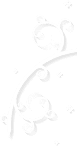elegant vine swirl vector with decorative elements on transparent background - Download Free Stock Videos Pikwizard.com
