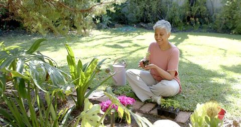 Elderly Woman Gardening in Sunny Backyard - Download Free Stock Images Pikwizard.com