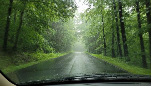 Driving through rainy forest canopy from car windshield with hood view