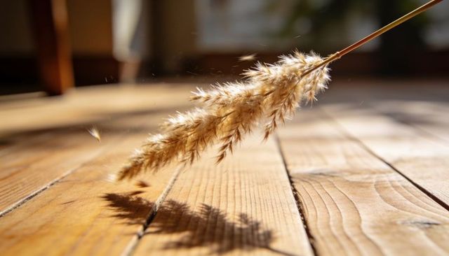 Sunlit fluffy grass plume shedding tufts over warm wooden floor closeup with soft shadow bokeh