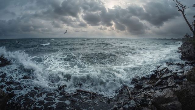 Moody Stormy Sea Crashing on Rocky Coastline with White Foam, Waves and Seabird in Flight