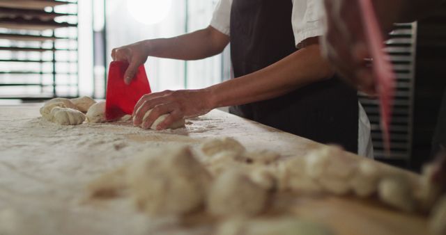 Bakers Shaping Dough on Floured Work Surface in Artisan Bakery - Download Free Stock Images Pikwizard.com