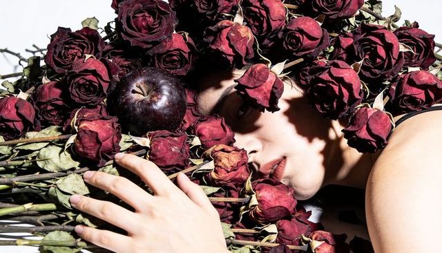 Nestling female face among wilted dark red roses with dark plum for moody portrait