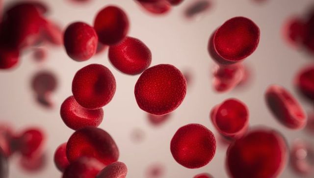 Red blood cells drifting in a microscopic vessel