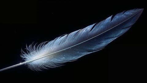 Iridescent blue feather on black background with downy base, fine barbs and high contrast