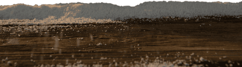 Realistic Wooden Panels with Powder Overlay on Transparent Background - Download Free Stock Videos Pikwizard.com