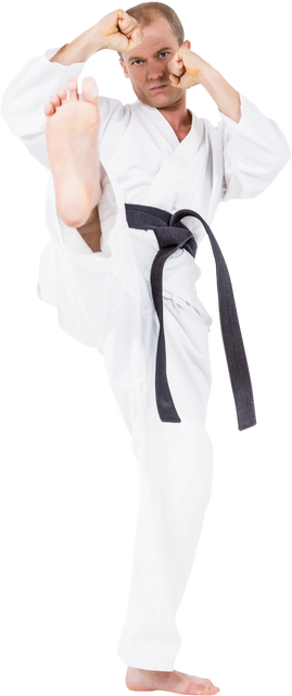 Male Karate Fighter Executing Super High Kick on Transparent Background - Download Free Stock Videos Pikwizard.com