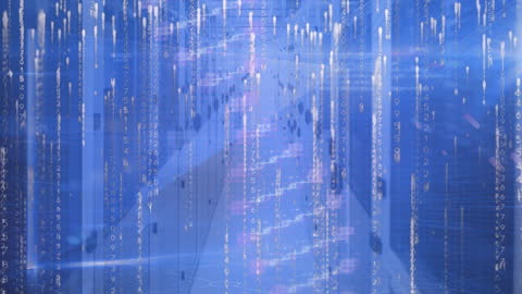 Data Flow and Digital Interface in a Server Room