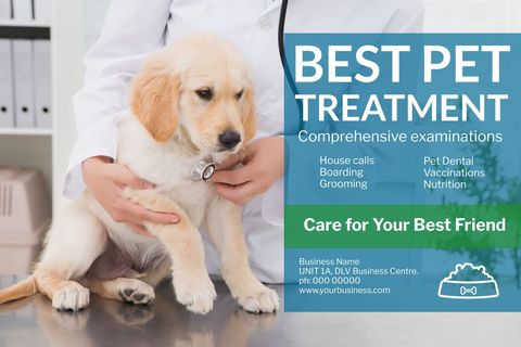 veterinary care consultation with adorable puppy - Download Free Stock Templates Pikwizard.com
