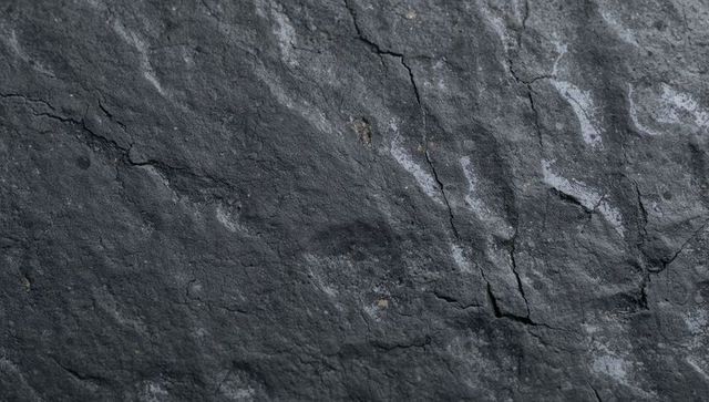 Dark slate rock texture with cracks and mineral veins for natural backgrounds