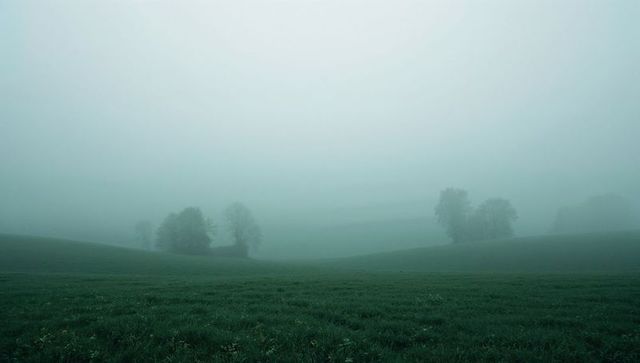 Misty Dawn Over Rolling Hills and Dewy Grass Landscape