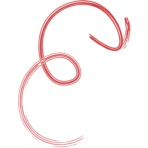 Complex Red Directional Arrow on Transparent Background - Download Free Stock Videos Pikwizard.com